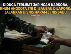 Diduga Terlibat Jaringan Narkoba, Oknum Anggota TNI di Baubau Dilaporkan Jalankan Bisnis haram jenis Sabu