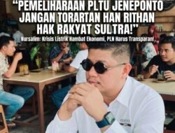 Sistem Interkoneksi Sulbagsel Defisit, PPA-Sultra Warning Keras Manajemen PLN