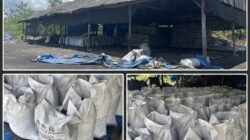 Gudang Pembakaran Shell Charcoal Disorot, Legalitas Lingkungan dan Ekspor Dipertanyakan