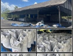 Gudang Pembakaran Shell Charcoal Disorot, Legalitas Lingkungan dan Ekspor Dipertanyakan